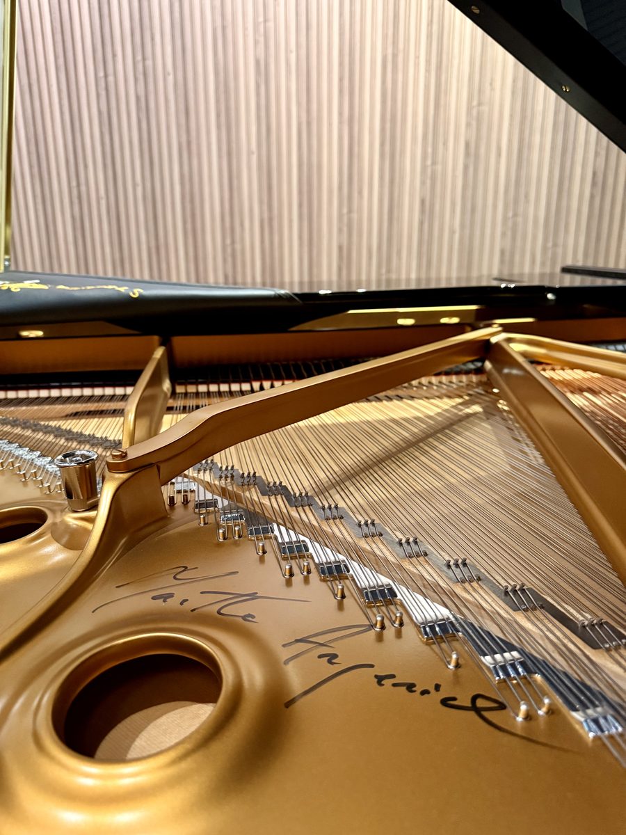 Martha Argerich Edition signed gold soundboard, Steinway Model B211